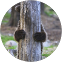 Thea O profile picture